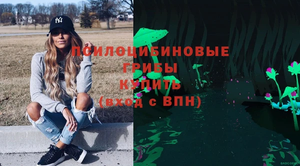 прущие крисы Мегион