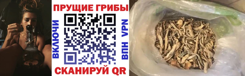 blacksprut вход  Яблоновский  Галлюциногенные грибы Cubensis  наркотики 